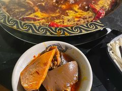 -重庆川渝肥妹火锅