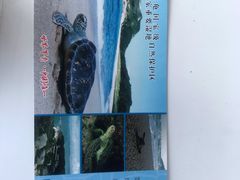 -广东惠东海龟国家级自然保护区