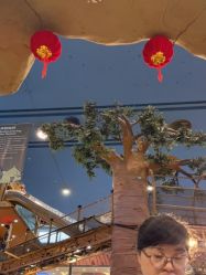 -卡通尼·Safari非洲探索乐园·生日会(金桥国际商业广场店)