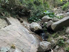 -火炉山森林公园