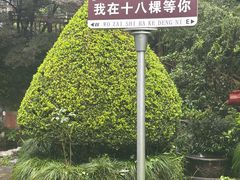 -十八棵（老龙井）御茶园(老龙井店)