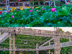 -洛阳市隋唐城遗址植物园