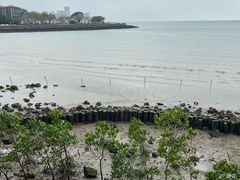 -万绿园