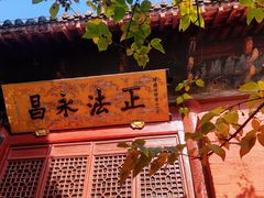-洛阳白马寺