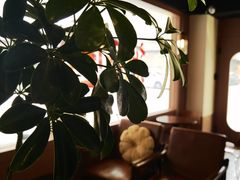 -一杯潮茶·专注潮汕茶饮(朝阳庄店)