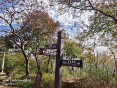 -镇江市南山风景名胜区竹林景区