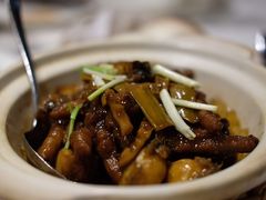 东坡鲍鱼焖凤爪-南麓·浙里(外滩店)