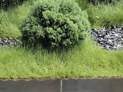 -龙潭生态旅游度假区