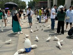 -天津妈祖文化园