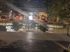 -上海凯宾斯基大酒店