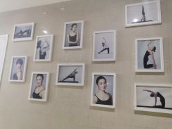 -榕树上·瑜伽普拉提