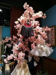 -星豆豆儿童摄影(南郊太白南路店)