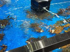 -盒马鲜生(观音桥店)