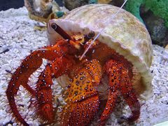 -太平洋海底世界