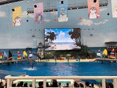 -海合安天津极地海洋公园