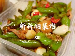 -新新湘菜馆(新中街二条店)