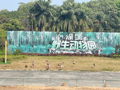 -深圳野生动物园