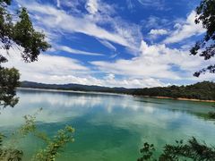 -广州市流溪河国家森林公园