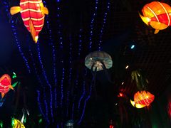 -横店影视城梦幻谷园区