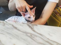 -the rug 飞毯 (朝阳公园店)