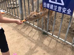 -西安秦岭野生动物园