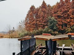 -溱湖国家湿地公园