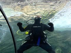 -悉尼海洋生物水族馆