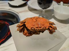 醉蟹-汤城·料青山