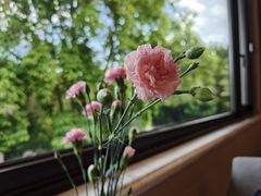 -福建鲤鱼洲酒店