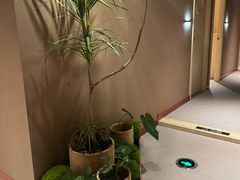 -LANN I 蘭·泰式古法按摩(长宁来福士东八区店)