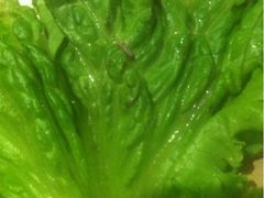 iphone_upload_pic-新石器烤肉(张家港购物公园店)