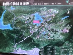 -深圳仙湖植物园