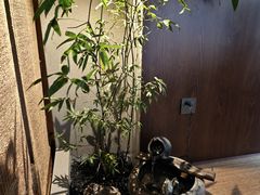 -本处·素食·融合料理(南油店)