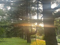 -国家植物园南园