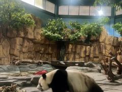 -泉州海丝野生动物世界