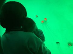 -沈阳海洋探索中心