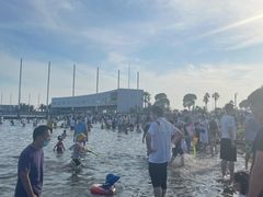 -碧海金沙