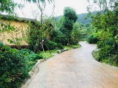 -杭州开元森泊度假乐园