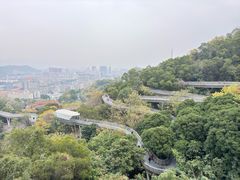 -福道