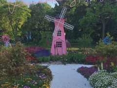 -上海共青森林公园