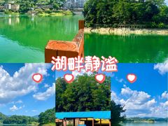 -广州市流溪河国家森林公园