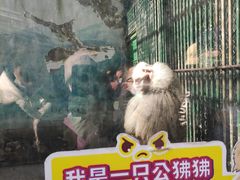 -无锡动物园·太湖欢乐园