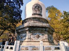 -大觉寺-停车场