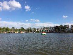 -上海长兴岛郊野公园