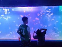 -左海海底世界