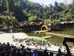 -西双版纳原始森林公园