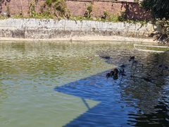 -农家小院土菜馆(斩坑桥店)