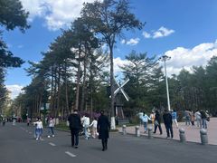 -黑龙江省森林植物园