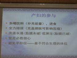 -北京安琪