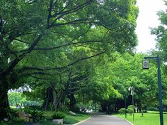 -南宁南湖公园